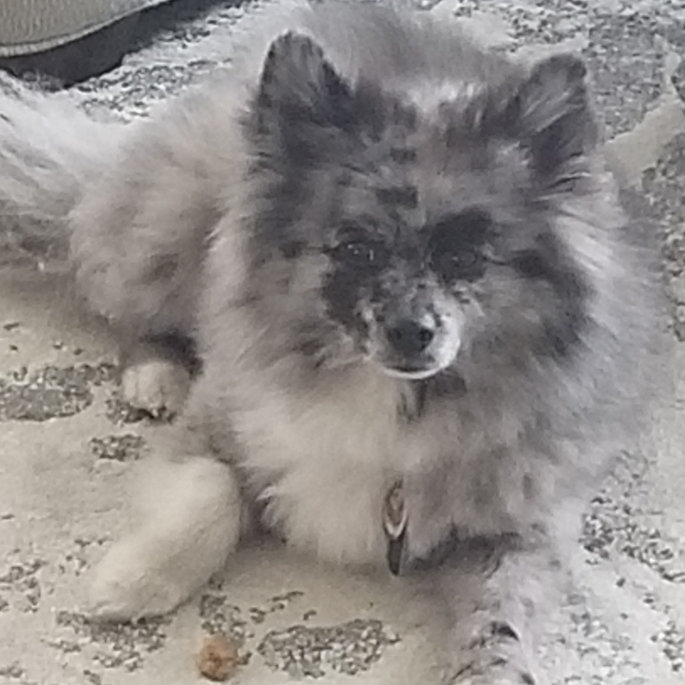 Meet your Posher, Dayna